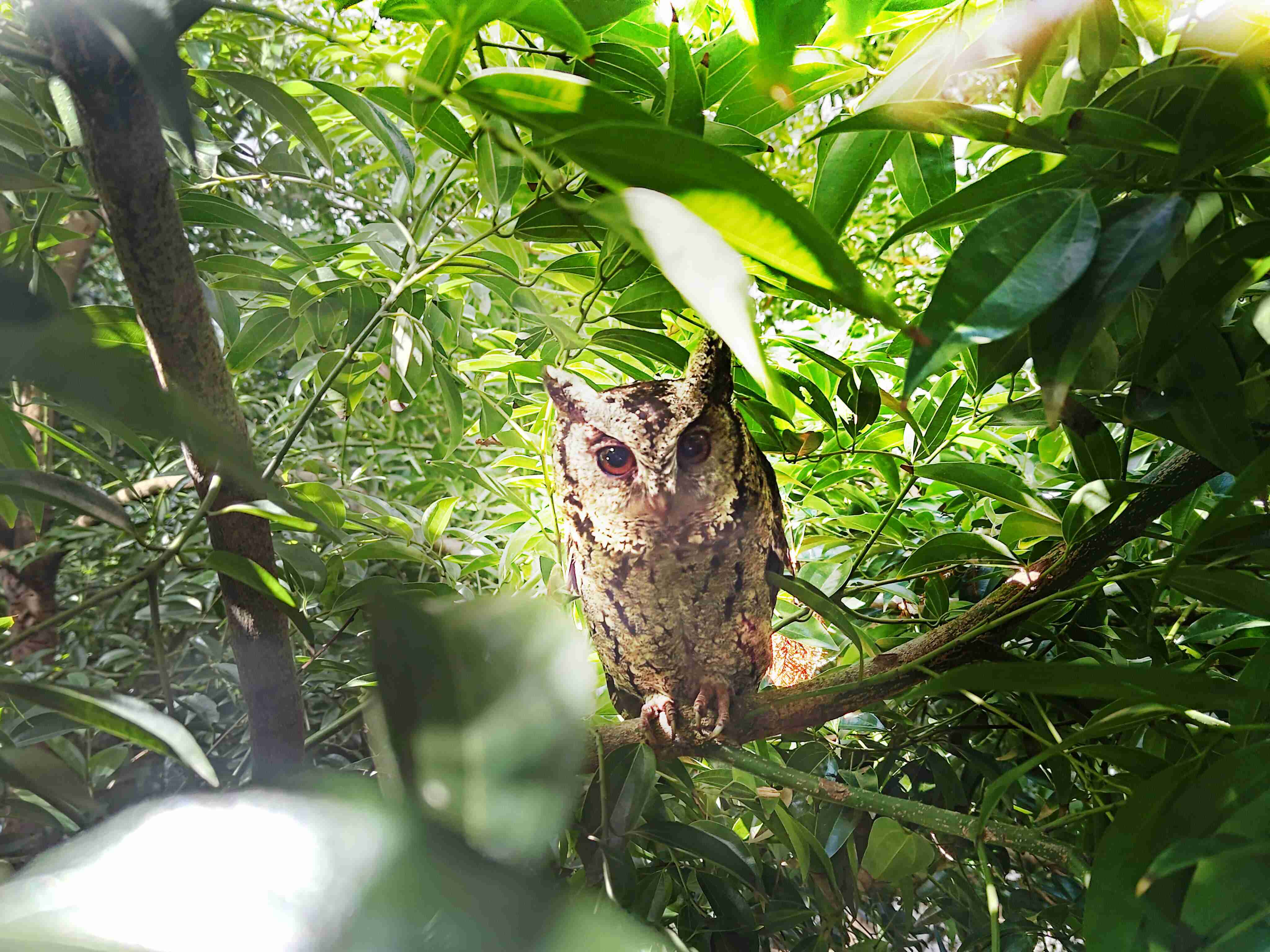 尊时凯龙致力提倡净零绿生活，，，，16年以来在全球各厂区植树逾百万棵，，，造就各厂区树木蔚然成林，，，犹如森林工厂，，，成为许多生物的栖息地